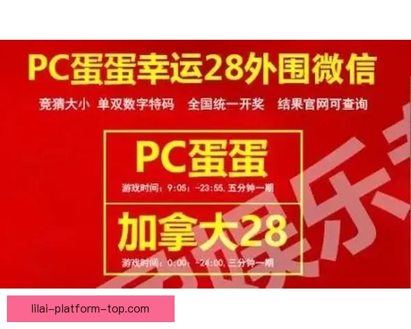 世界杯竞猜投注新玩法解析如何科学提升投注技巧与获胜概率